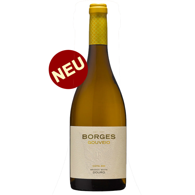 Borges Gouveio 2024