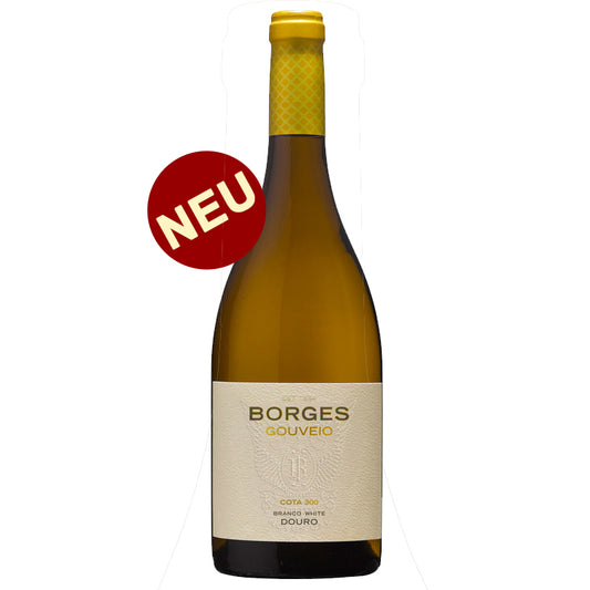 Borges Gouveio 2024